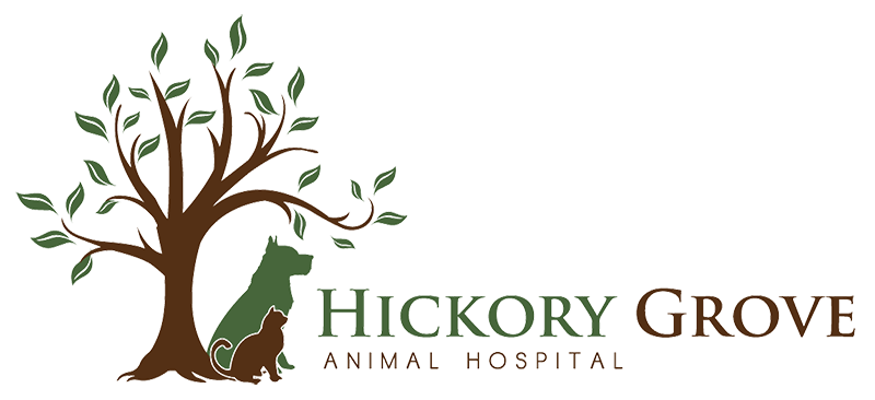 Hickory Grove Animal Hospital Logo